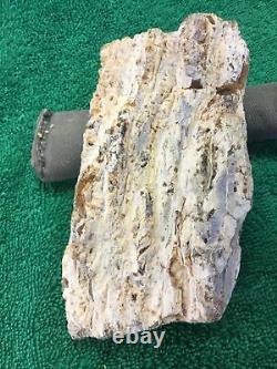 143g Slab Kauri Tree Gum Rare New Zealand Young Amber