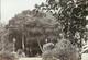 17 pics 1880's Albumen PHOTOs NEW ZEALAND landscape, people and misc photos