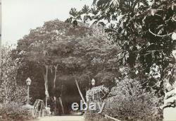 17 pics 1880's Albumen PHOTOs NEW ZEALAND landscape, people and misc photos