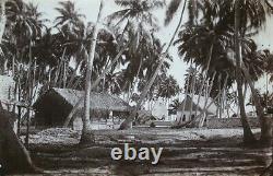 17 pics 1880's Albumen PHOTOs NEW ZEALAND landscape, people and misc photos