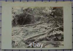 17 pics 1880's Albumen PHOTOs NEW ZEALAND landscape, people and misc photos