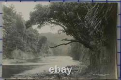 17 pics 1880's Albumen PHOTOs NEW ZEALAND landscape, people and misc photos