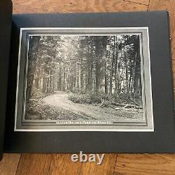 Art Photos of New Zealand Thomas Pringle VINTAGE 1907 Permanent Carbonette