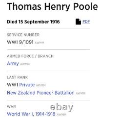 British WW1 Medals Memorial Plaque Death Penny New Zealand Pioneer Battalion (M)