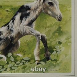 Bruce Harvey New Zealand artist NEWBORN Baby Goat Painting Tempura and Waterco
