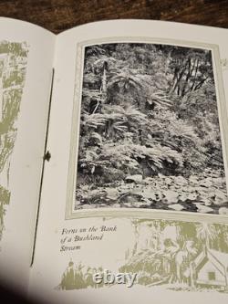 C1920 New Zealand Pictorial with Large Map 32 Pages Souvenir Tiki