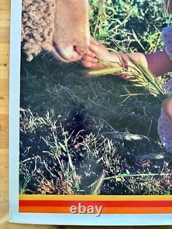 CONTINENTAL AIRLINES VISIT NEW ZEALAND Original Vtg Travel Poster 1970's 25x40