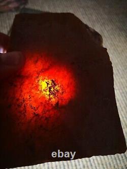 Carnelian agate New Zealand Mineral Lapidary cabbing carving highly translucent