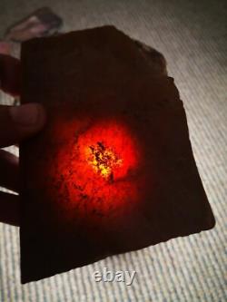 Carnelian agate New Zealand Mineral Lapidary cabbing carving highly translucent