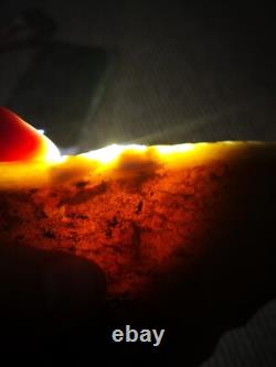 Carnelian agate New Zealand Mineral Lapidary cabbing carving highly translucent