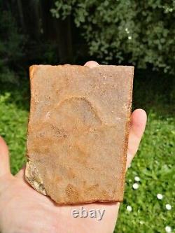 Carnelian agate New Zealand Mineral Lapidary cabbing carving highly translucent