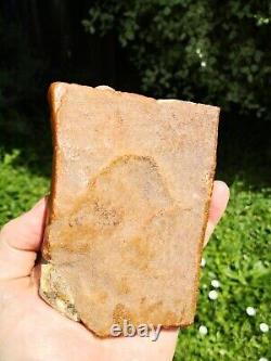 Carnelian agate New Zealand Mineral Lapidary cabbing carving highly translucent