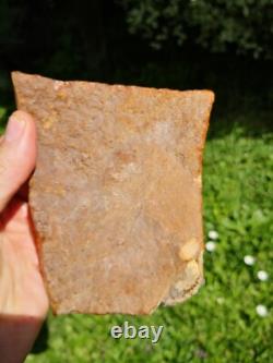 Carnelian agate New Zealand Mineral Lapidary cabbing carving highly translucent