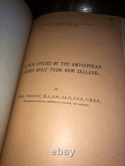 Charles Chilton New Zealand Zoology Papers 1906-1926 UNIQUE collection 61 Papers