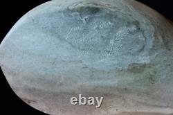 Dark Green Fine New Zealand Nephrite Skate Sculpture & Contrasting Jade Base