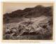 Dunedin New Zealand Photo Geyser Burton Bros Albumen Photo