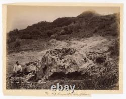 Dunedin New Zealand Photo Geyser Burton Bros Albumen Photo