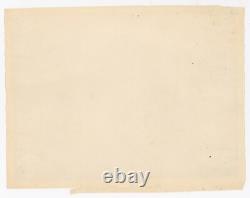 Dunedin New Zealand Photo Geyser Burton Bros Albumen Photo