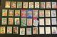 Foreign Garbage Pail Kids lot of unopened packs. Italy, Ireland & New Zealand