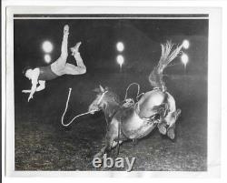 Four 1950s Rodeo Vintage Original Press Photos New Zealand Nebraska Arizona