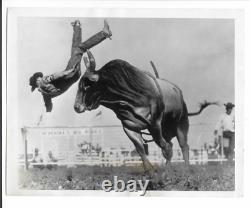 Four 1950s Rodeo Vintage Original Press Photos New Zealand Nebraska Arizona