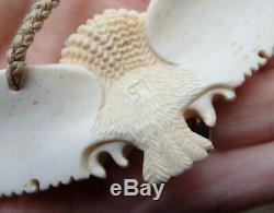 Gareth Mcghie Art Large Hand Carved Deer Bone Nz Maori Ruru Flying Owl Necklace