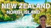 Glow Worm Caves Hobbiton And More Places To Visit In North Island New Zealand Travel Guide 4k