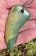 Hand Carved J Kerwin Maori Raukaraka Greenstone Nephrite Jade Niho Shark Tooth