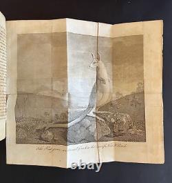 Hawkesworth, Account of Voyages Southern Hemisphere 1785 Cook New Zealand plates