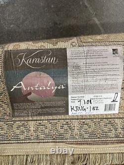 Karastan Antalya Collection Panel Kirman-Redwood 5'7x7'11 100% New Zealand Wool