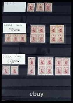 Lot 37434 Stamp collection New Zealand 1901-1908