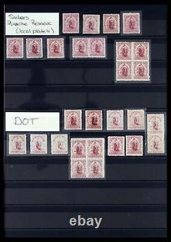 Lot 37434 Stamp collection New Zealand 1901-1908