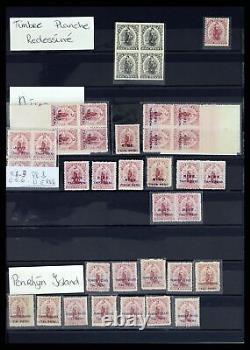 Lot 37434 Stamp collection New Zealand 1901-1908