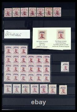 Lot 37434 Stamp collection New Zealand 1901-1908