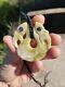 Manaia Maori Pendant Double Manaia Hand Carved Jade Abalone Shell New Zealand