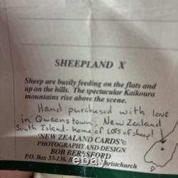 Marion Mewburn Whimsical Sheep Teapot With Gallery Letter Postcard New Zealand