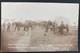 Mint RPPC Real Picture Postcard Horse E Lines Christchurch New Zealand 1908