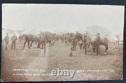 Mint RPPC Real Picture Postcard Horse E Lines Christchurch New Zealand 1908