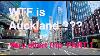 Morning Vibes In Auckland City Central Streets Shops U0026 Local Life In New Zealand Part 1