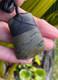 Nathan Jerry Nz Totoweka Rare Pounamu Greenstone Jade Small Maori Hei Toki Adze