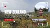 New Zealand Day 1 429 Trip To Rotorua Valley Geysers Maori Culture Nz Geysers M Ori