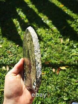 New Zealand Greenstone Serpentine Flower Pounamu carving lapidary Picture slab