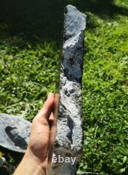 New Zealand Greenstone serpentine Pounamu High quality carving slabs translucent