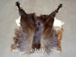 New Zealand Himalayan Tahr Hide Back Skin