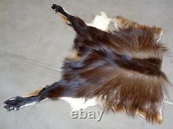 New Zealand Himalayan Tahr Hide Back Skin