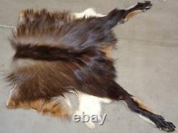 New Zealand Himalayan Tahr Hide Back Skin