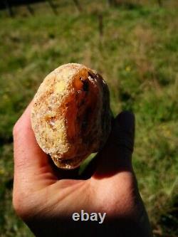 New Zealand Kauri Gum Young Amber Copal 140 gram piece