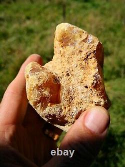 New Zealand Kauri Gum Young Amber Copal 153 gram piece