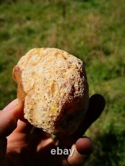 New Zealand Kauri Gum Young Amber Copal 153 gram piece