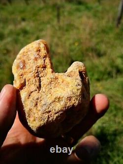 New Zealand Kauri Gum Young Amber Copal 153 gram piece